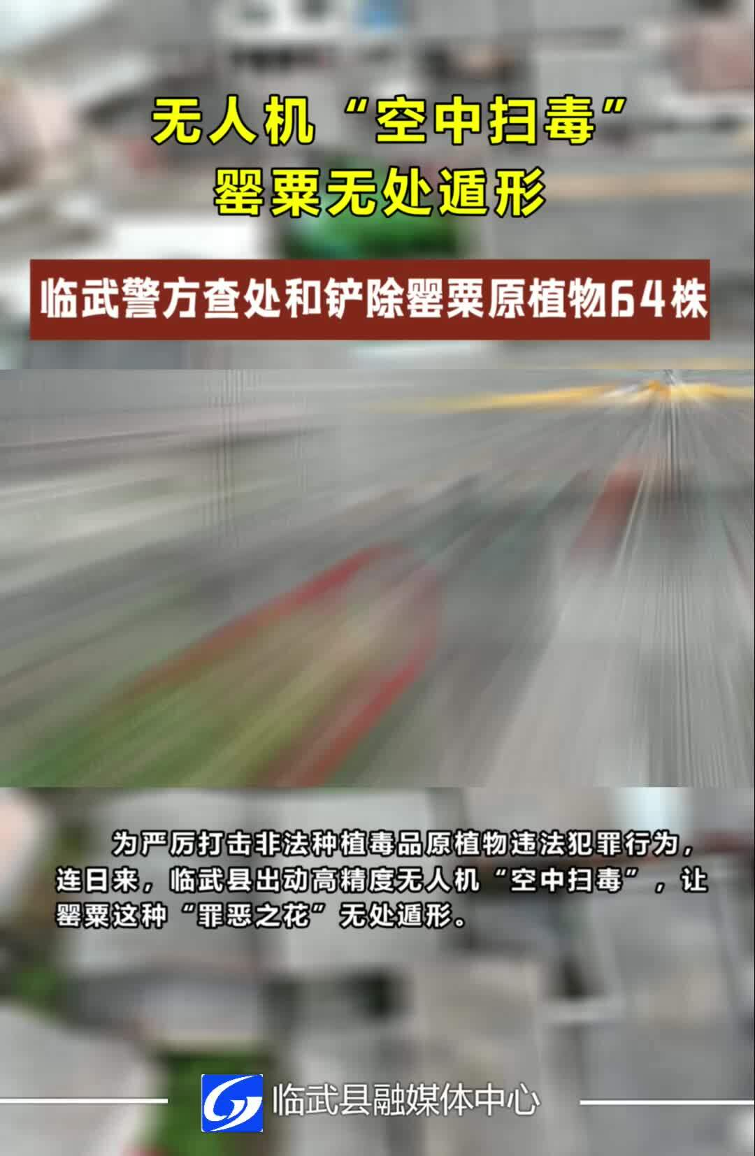 无人机“空中扫毒” 罂粟无处遁形　临武警方查处和铲除罂粟原植物64株