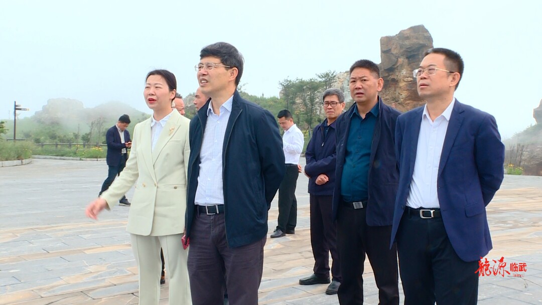 市人大常委会调研组来临武县调研国土空间生态修复情况