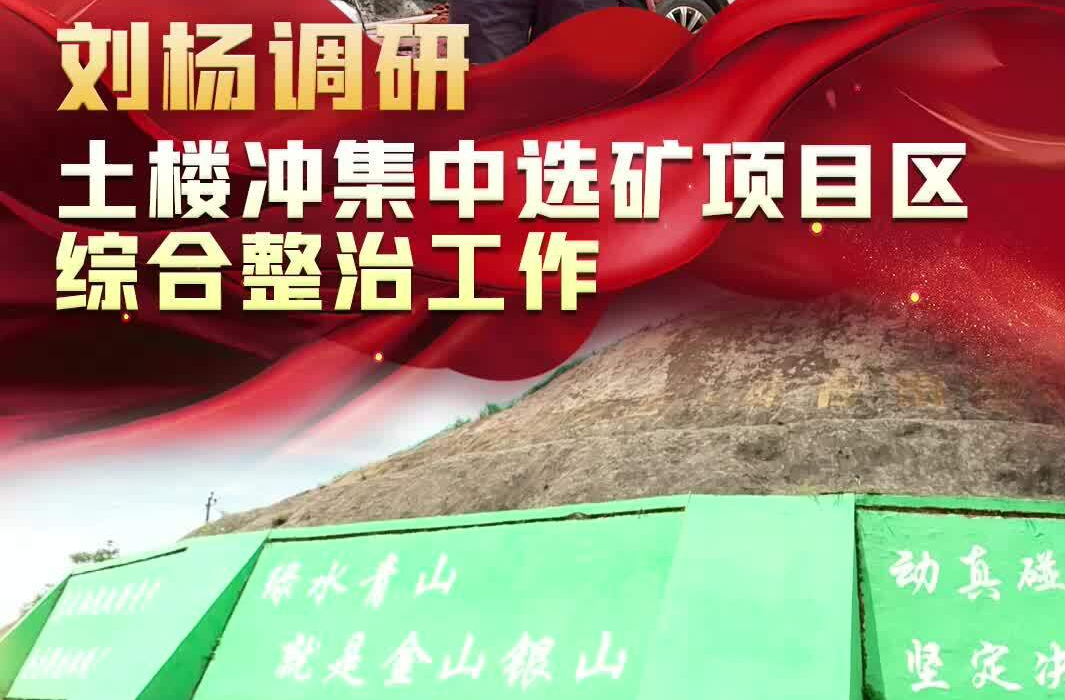 【大兴调查研究 】刘杨调研土楼冲集中选矿项目区综合整治工作