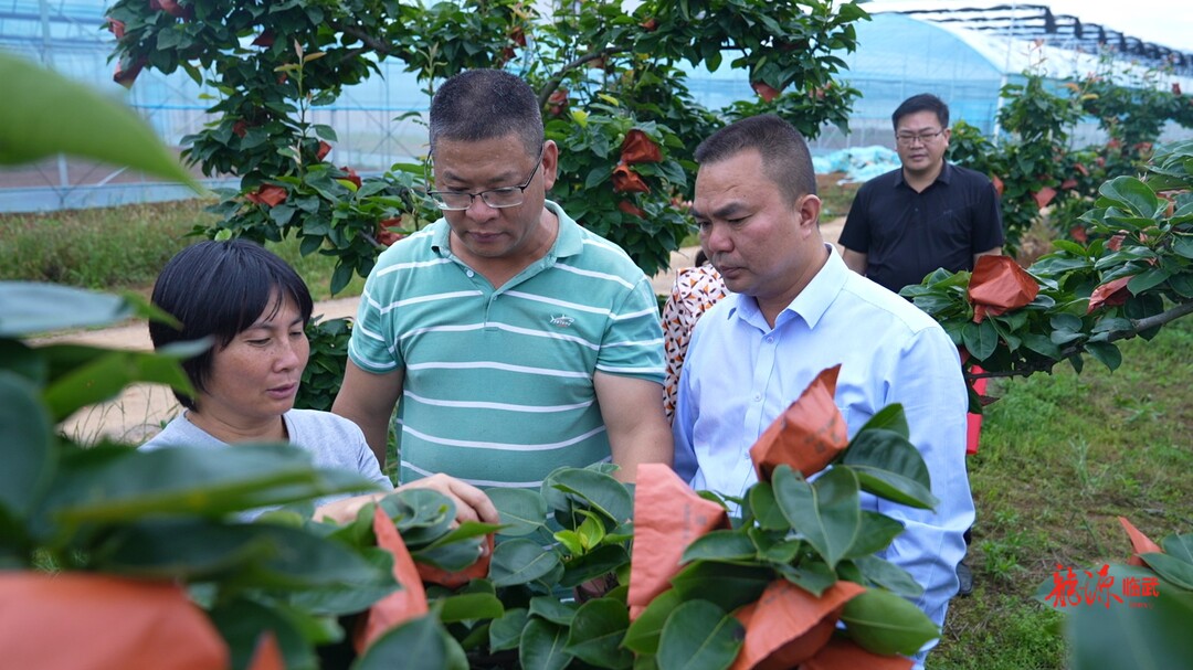 乡村振兴进行时｜临武县政协委员送技术到田间 助力土特产业发展壮大