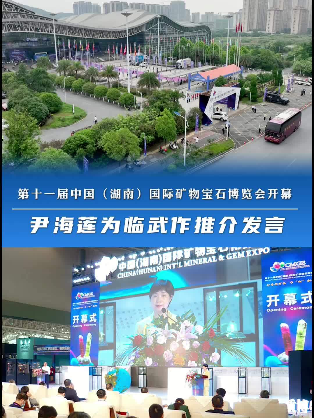第十一届中国（湖南）国际矿物宝石博览会开幕 尹海莲为临武作推介发言