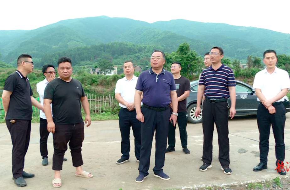 大兴调查研究 | 刘杨调研乡村振兴示范创建工作
