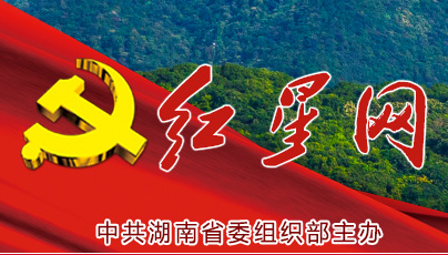 临武县：“四措并举”迈出党建引领基层治理“新步伐”