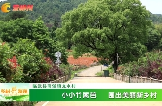 【爱郴州】临武县南强镇龙水村：小小竹篱笆 围出美丽新乡村
