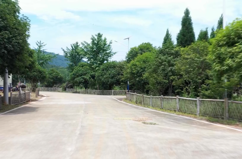 【红网时刻】临武县龙水村：小小竹篱笆 围出美丽新乡村