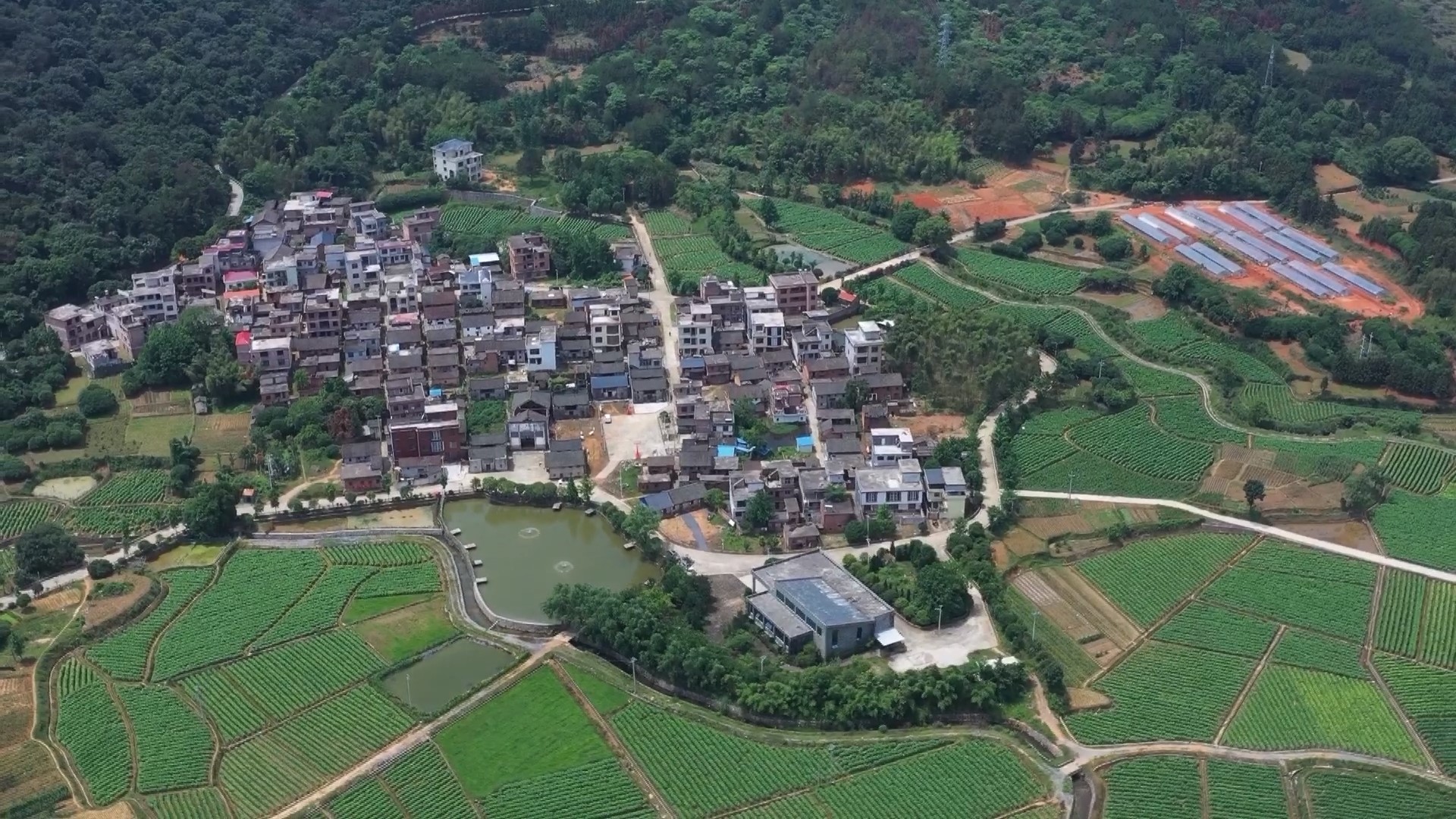 旅发进行时·城乡风面貌提质 | 龙水村：小小竹篱笆  围出美丽新乡村