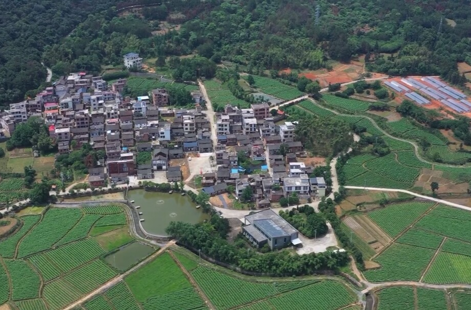 【旅发进行时·城乡风面貌提质】龙水村：小小竹篱笆  围出美丽新乡村