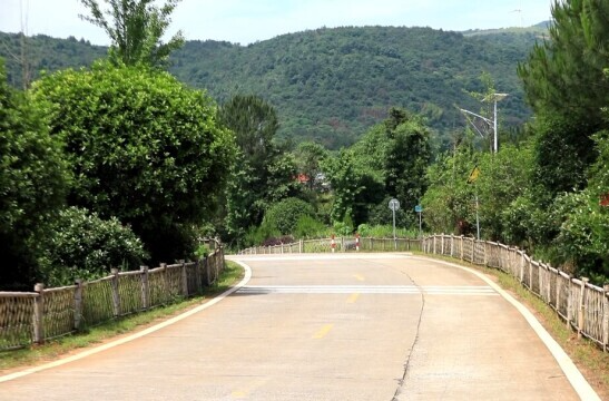【新湖南】郴州临武龙水村：小小竹篱笆 围出美丽新乡村