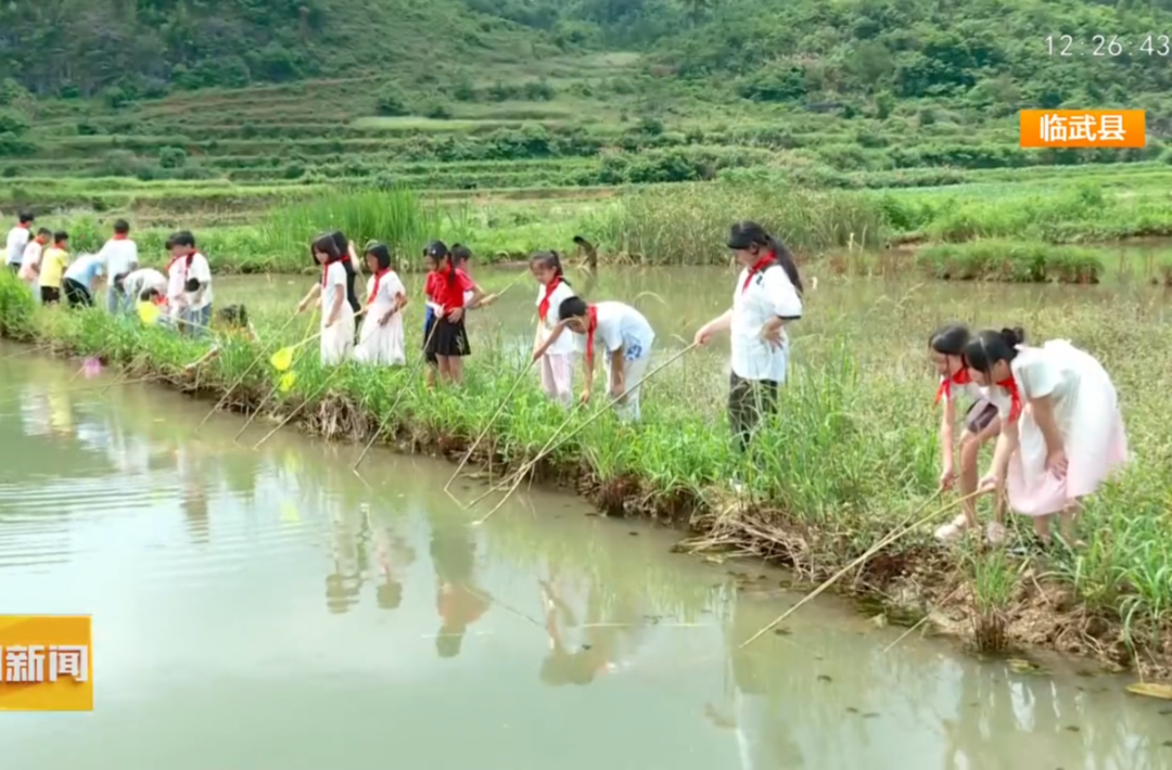 【湖南卫视】湖南各地：多彩活动庆“六一”