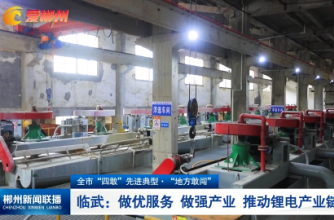 【郴州新闻联播】全市“四敢”先进典型·“地方敢闯” 临武：做优服务 做强产业 推动锂电产业链发展