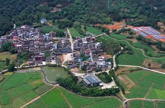 【学习强国】乡村振兴｜郴州临武：小小竹篱笆围出美丽新乡村