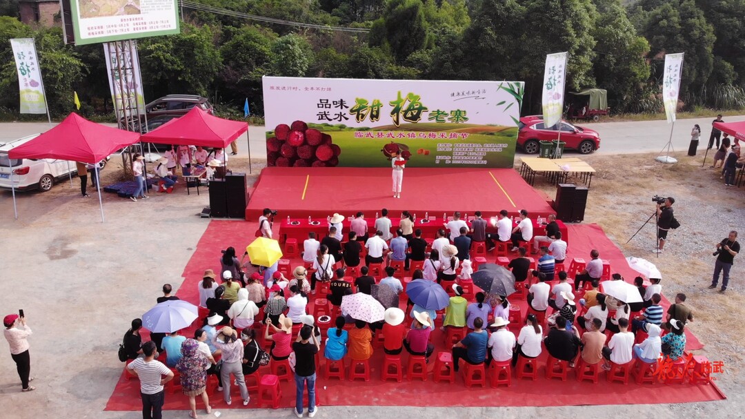 旅发进行时 | 武水镇举办“品味武水 甜梅老寨”乌梅采摘节