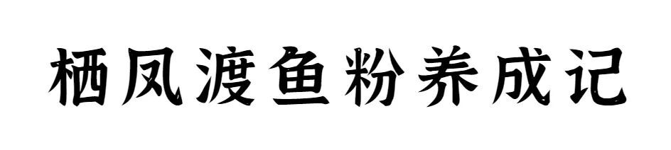 湖南最狠的米粉，在郴州