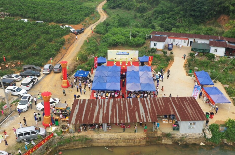 旅发进行时 | 南强镇举办雅丰黄桃采摘旅游节