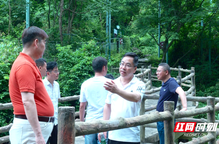 【红网时刻】临武县政协：送点子到景区 助力文旅资源高效开发