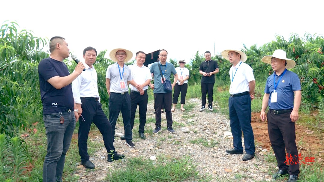 市县人大代表视察临武县融入粤港澳大湾区发展外向型农产品产业情况