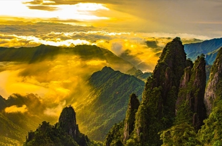 热烈一夏｜与其向往不如出发·珍奇莽山