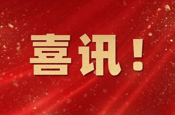 国家通报表扬“优质服务基层行”机构！临武县选送单位榜上有名