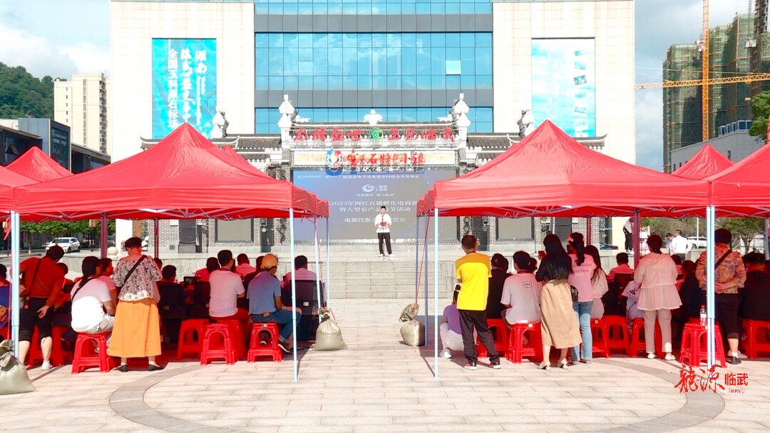 旅发进行时｜临武县举办“龙源臻味魅力临武”网红直播孵化电商创业大赛