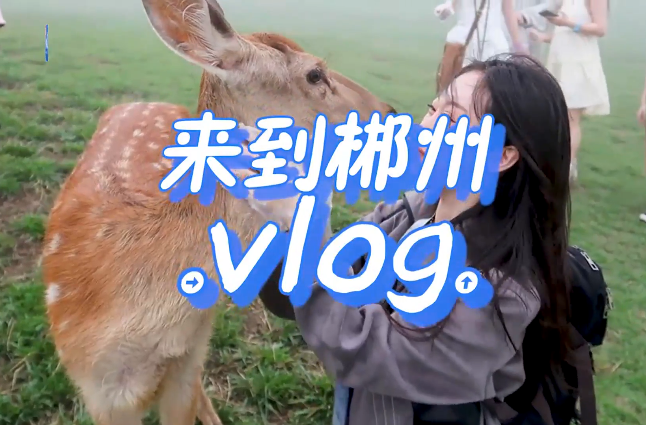 来到郴州Vlog ②｜去北湖，感受中国最南端的高山草原！