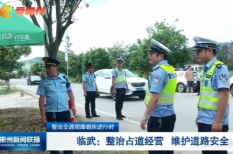 【郴州新闻联播】整治交通顽瘴痼疾进行时：临武：整治占道经营 维护道路安全