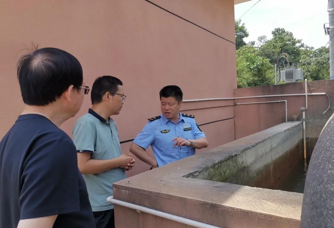 督察动态 | 抢速度 拼质效 高标准办理省生态环境保护督察交办信访件