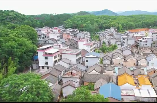 【学习强国】视频丨郴州临武：学古村廉风 品乡村良味