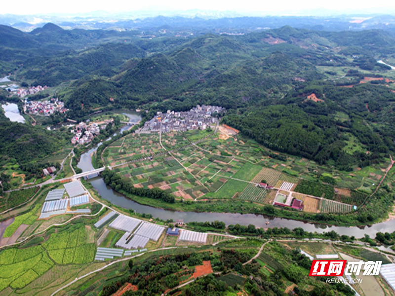 【红网时刻】临武龙归坪：学古村“廉风” 品乡村“良味”