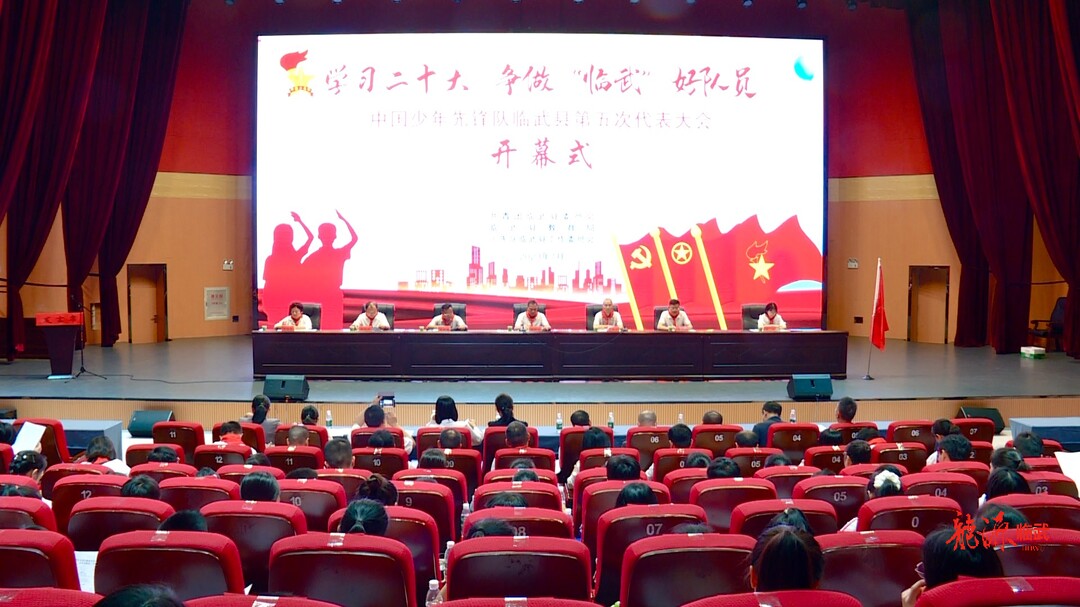 中国少年先锋队临武县第五次代表大会召开
