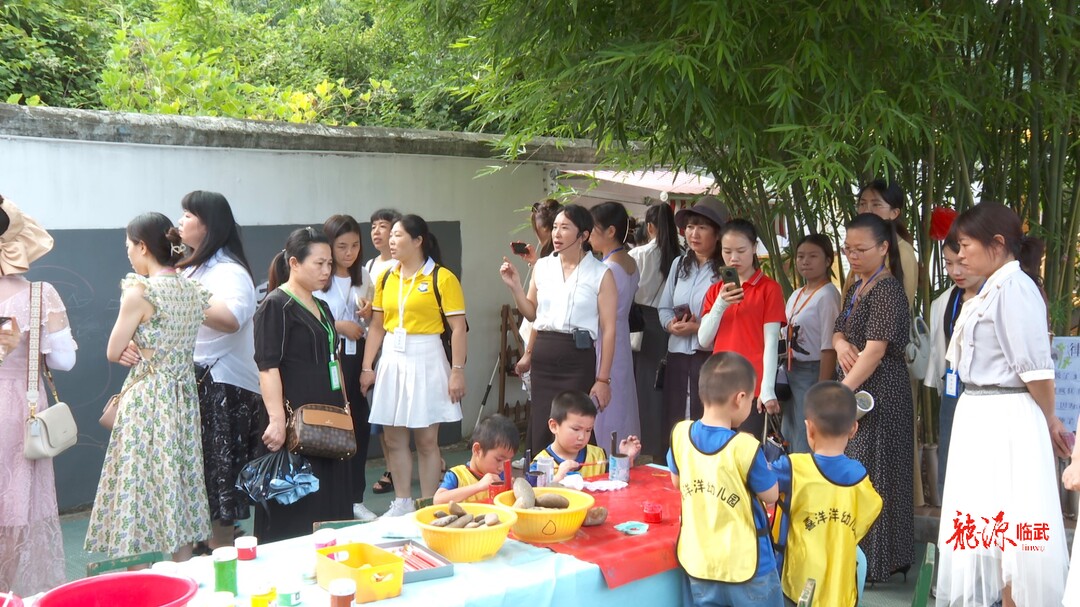临武县开展幼小科学衔接暨自主游戏推广现场推进会