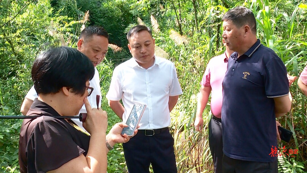 第二轮湖南省生态环境保护例行督察 | 临武县就省生态环保督察信访交办件反映问题进行现场核实