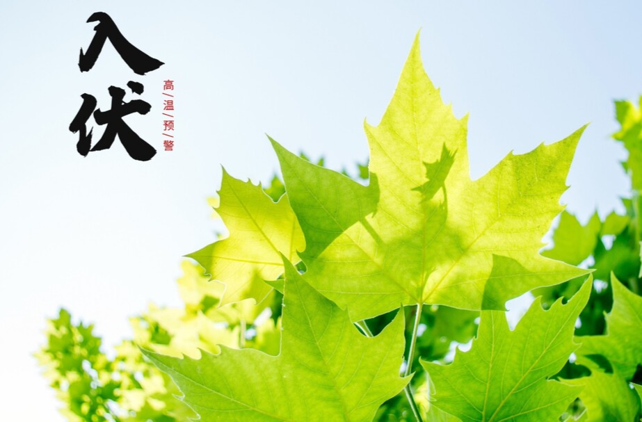初入夏三伏 谨防高温中暑
