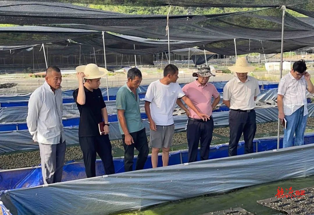第二轮湖南省生态环境保护例行督察｜县领导督导省环保督察信访交办件整改工作