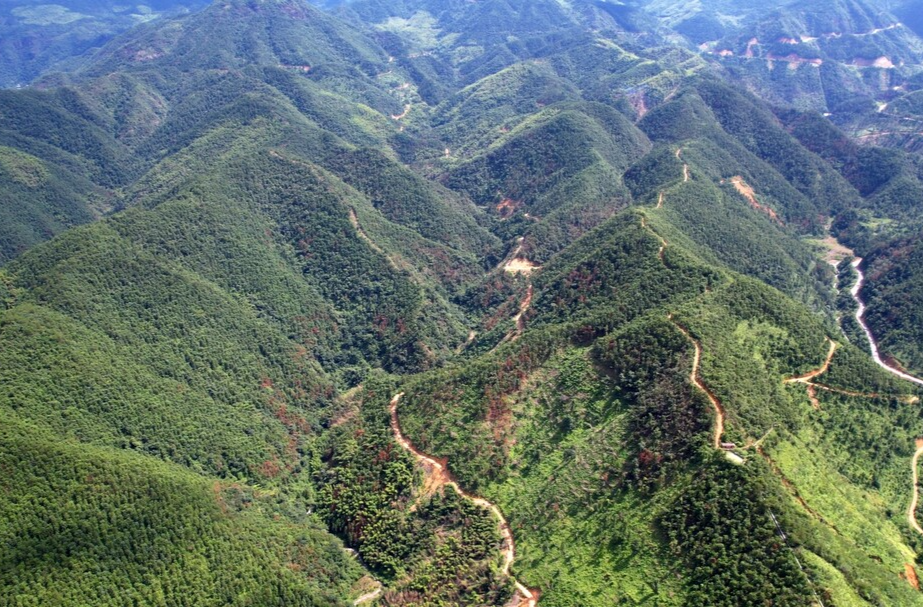 打好“发展六仗” | 西山林场：种植珍贵树种 增强生态效益