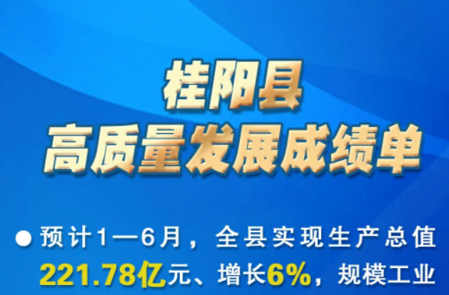 桂阳县：链式赋能打造产业新高地