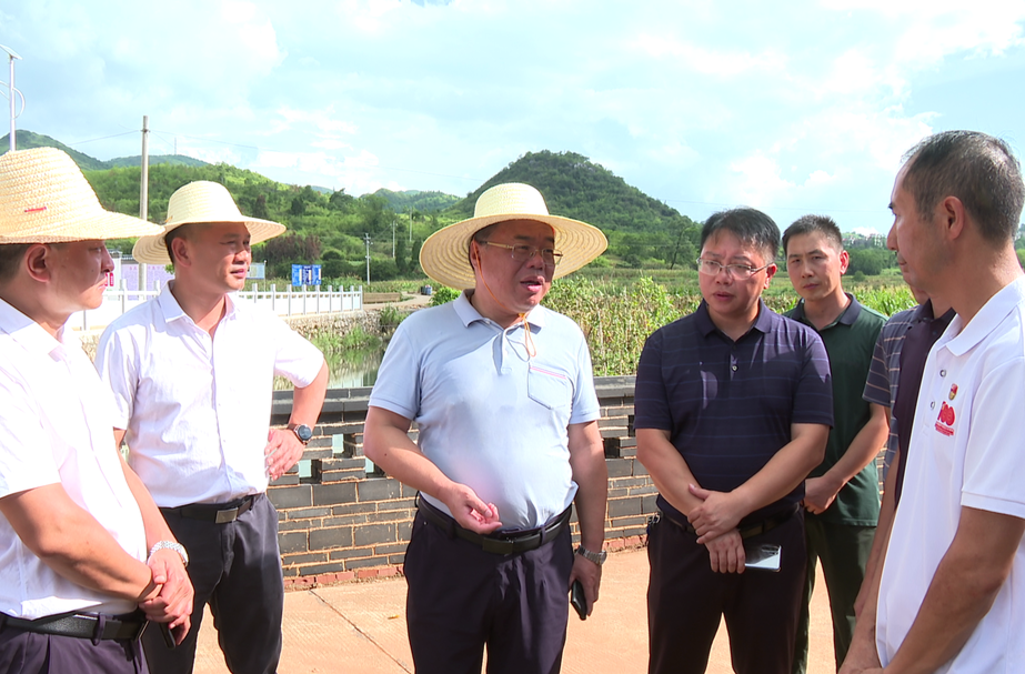 大兴调查研究 | 刘杨到麦市、楚江调研乡村振兴示范创建工作