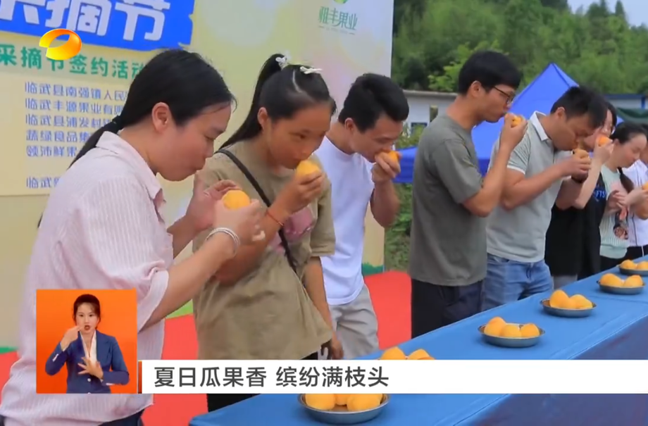 【湖南卫视】夏日瓜果香 缤纷满枝头