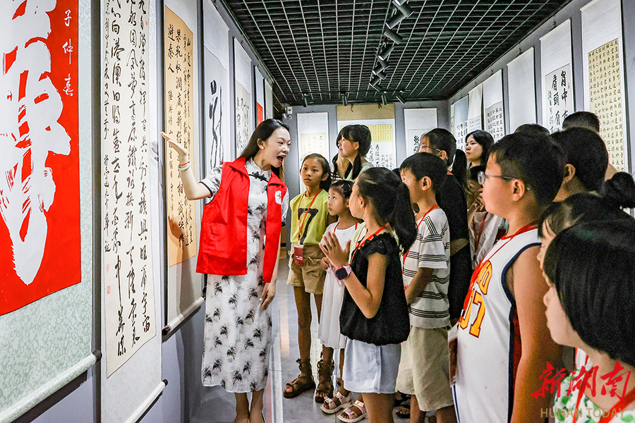 【新湖南】观艺展 学知识