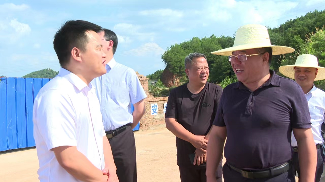 刘杨检查我县近期各项安全工作
