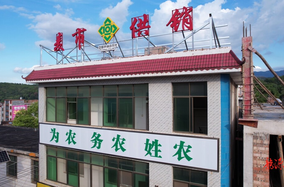 打好“发展六仗”  | 麦市镇农业加工区正式投入运营