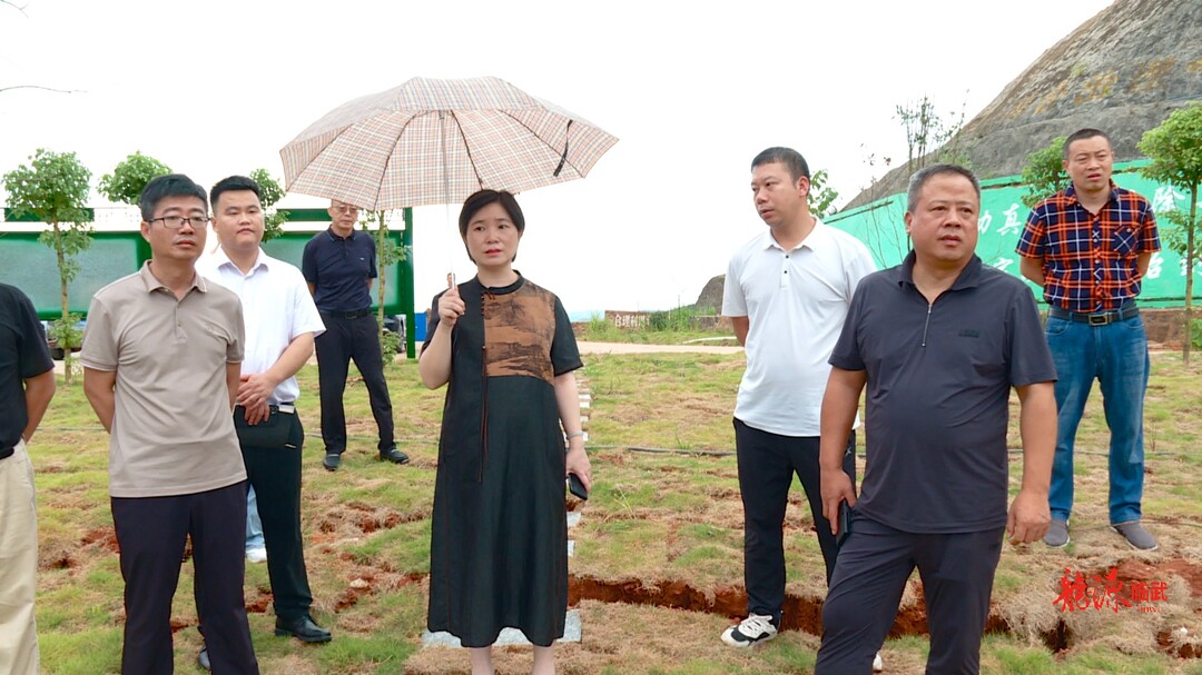 大兴调查研究 | 尹海莲到土楼冲集中选矿项目区调研