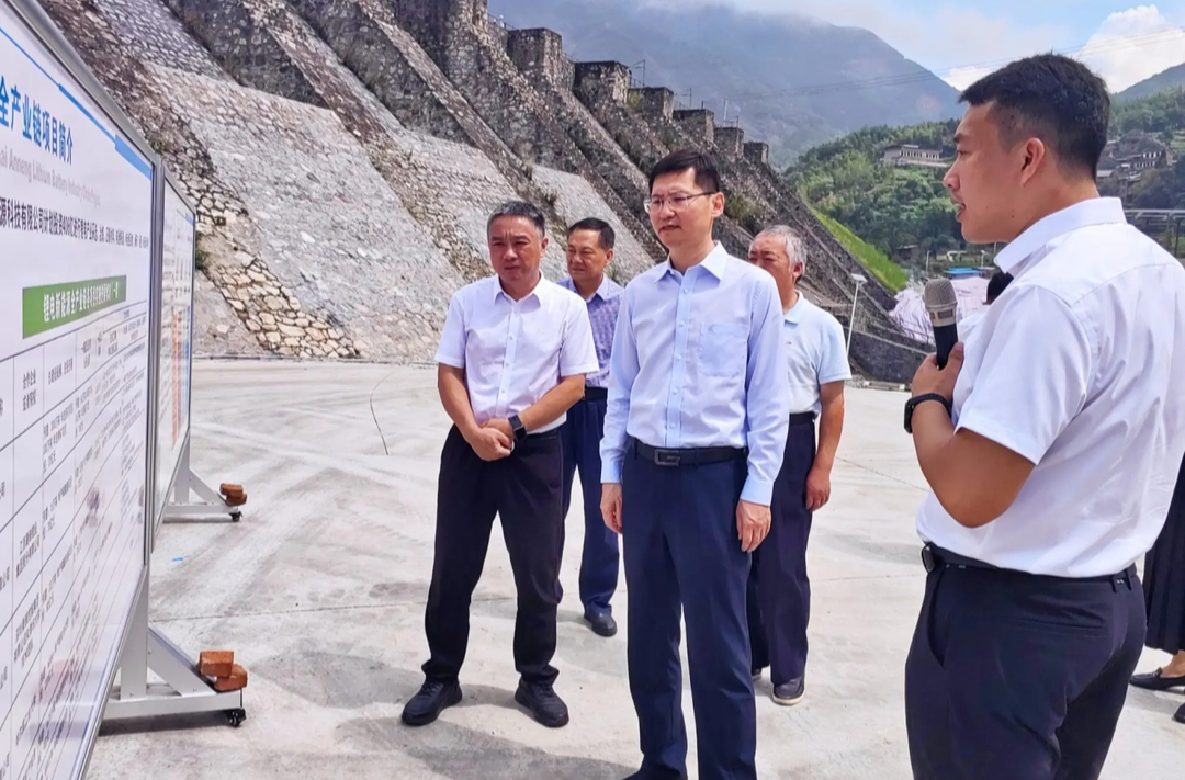 阚保勇到临武县调研锂电新能源产业项目建设：强信心 强推进 强服务