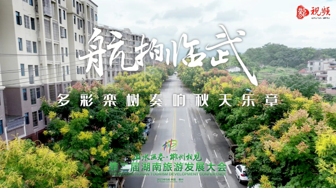 【新湖南】航拍临武丨多彩栾树奏响秋天乐章