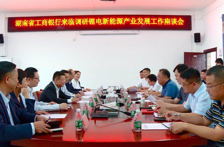 中国工商银行湖南省分行领导来临武县调研锂电新能源产业发展工作