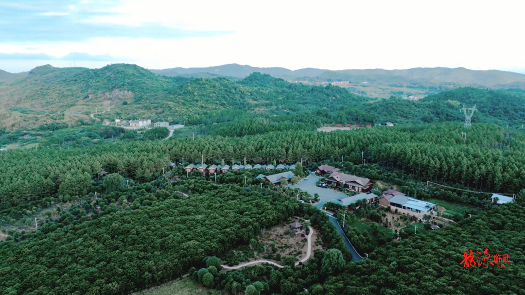 南国红豆庄园：住特色民宿  享诗意生活