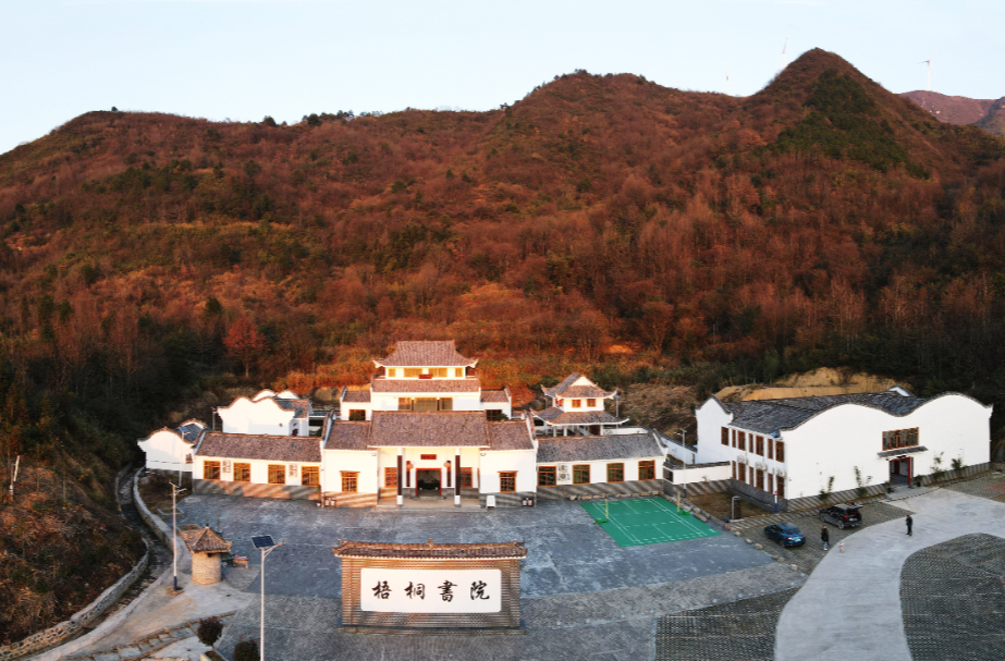 非同寻常的梧桐书院
