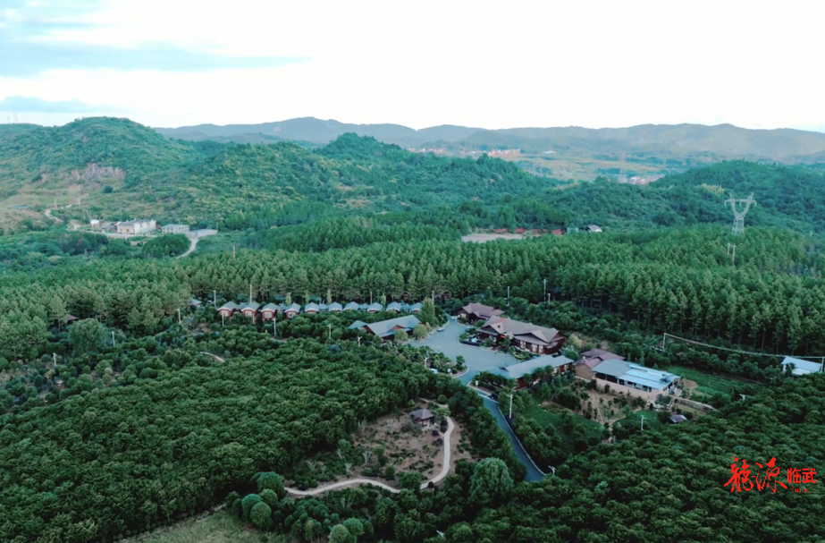 南国红豆庄园：住特色民宿 享诗意生活