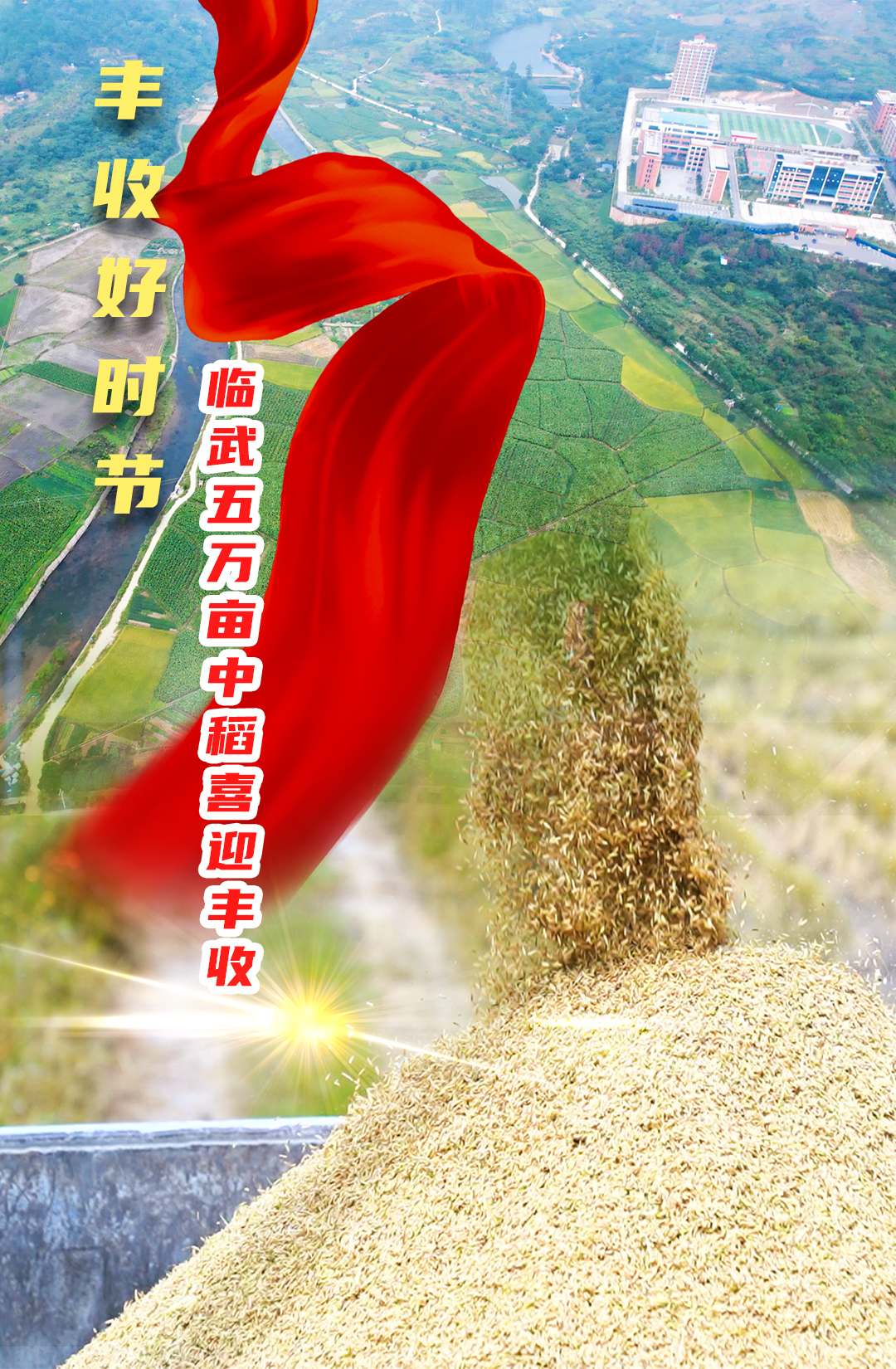 丰收好时节 临武5万亩中稻喜迎丰收