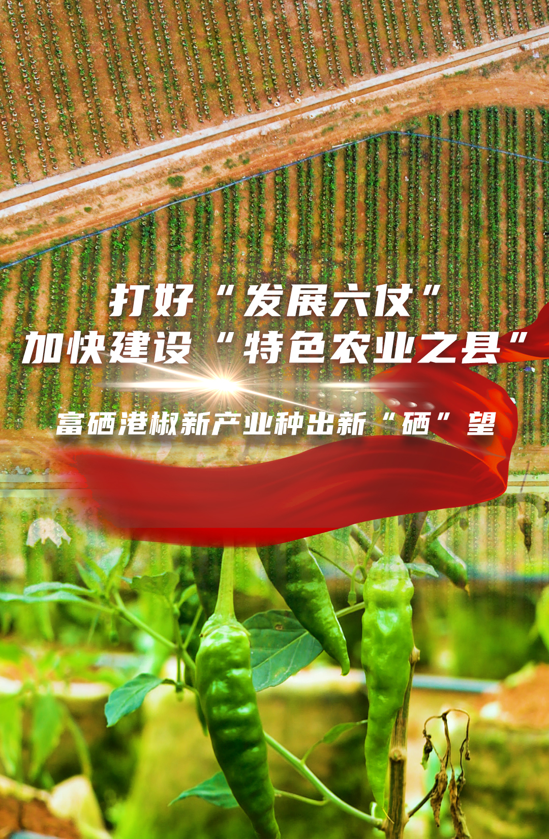 临武香花：富硒港椒新产业种出新“硒”望