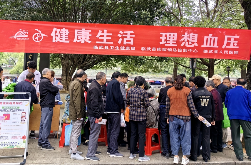 临武县开展“全国高血压日”主题宣传